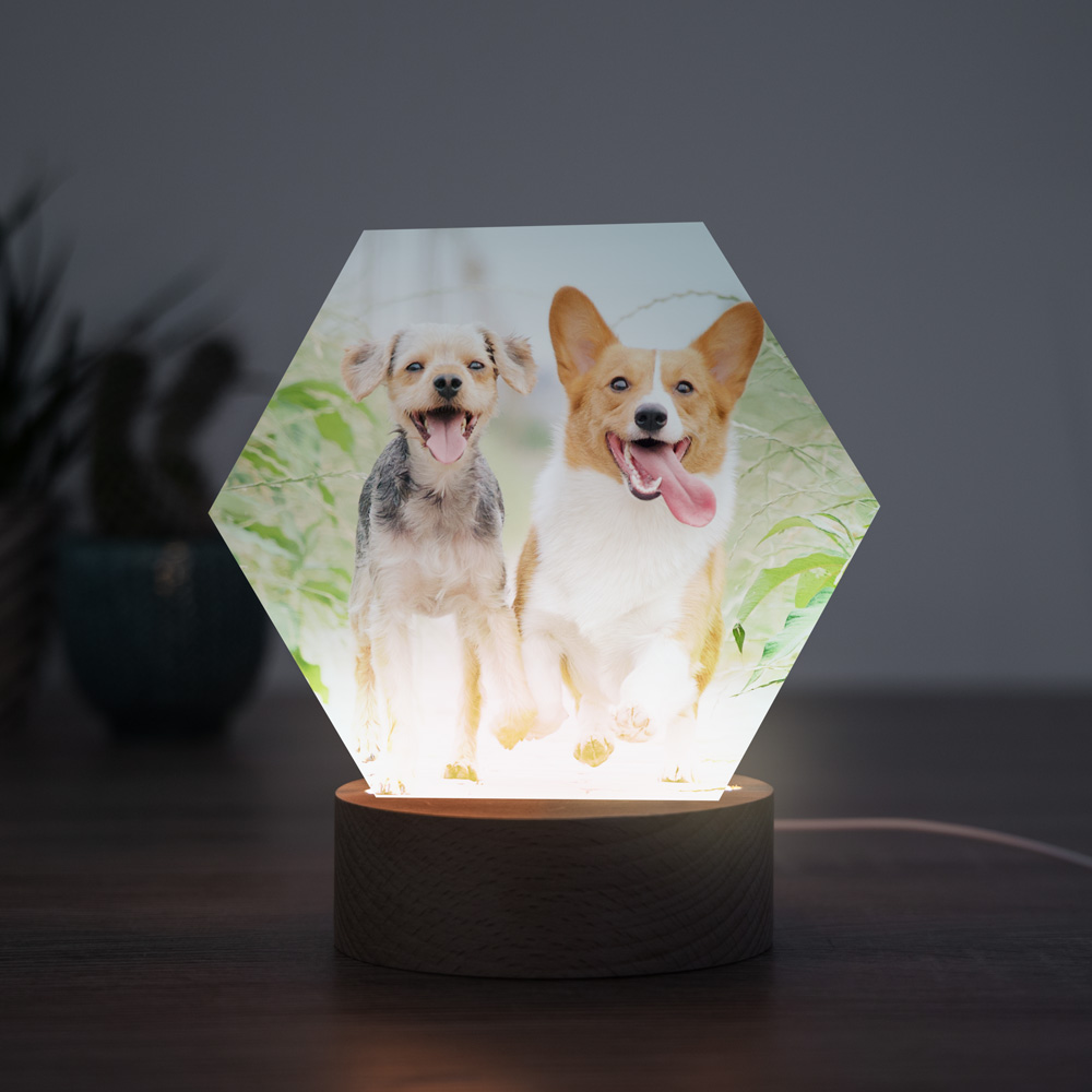 tiergeschenke personalisierbare led leuchte mit foto tiergeschenke personalisierbare led leuchte mit foto